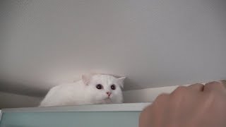 긴급상황! 라라를 구출했어요
