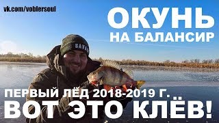 ПЕРВЫЙ ЛЁД 2018 - 2019 г. Открытие сезона. ЛОВЛЯ ОКУНЯ НА БАЛАНСИР - НАСТОЯЩИЙ ЖОР! Зимняя Рыбалка.