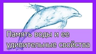Память воды   удивительные свойства воды
