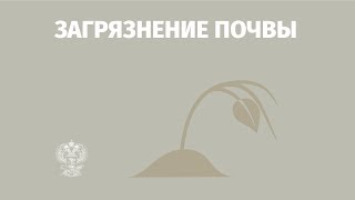 Почва. Свойства и способности.