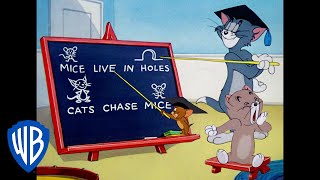 Tom y Jerry en Español | Una clase del profesor Tom