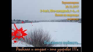 Пруд в гороховщино пензенской области. Ловля щуки на жерлицы.