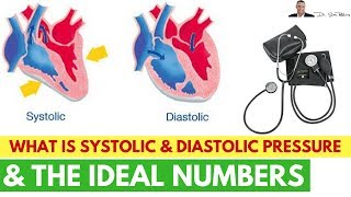 ? What Is Systolic & Diastolic Pressure & The Ideal Numbers - by Dr Sam Robbins