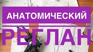 Считаем анатомический реглан/ разбор на конкретном свитере