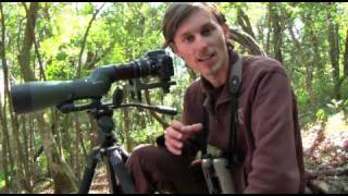 How to Choose a Spotting Scope for Digiscoping