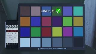 Sony FS700 CINE2 vs S-LOG2