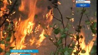 Байкало-Ленский заповедник под угрозой лесных пожаров, "Вести-Иркутск"