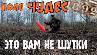 Поле чудес пустым не бывает. Сокровища все лезут. Коп 2020.
