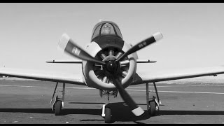 T-28 AIRFIELD 1450mm