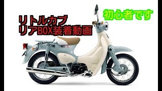 『初心者』リトルカブリアリアボックス装着動画