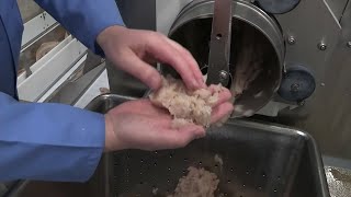 Du poisson pas si bon, enquête sur une filière opaque - Reportage