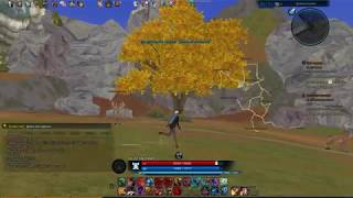 TERA | Опробовал игру |