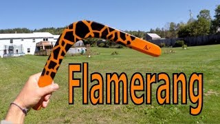 Flamerang boomerang TY Tasmanian Tiger video game lives