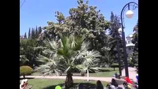 Адлер   Краснодарский край, ул  Карла Маркса