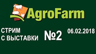 Первый стрим неожиданно прервался, начинаем новый. Выставка АгроФерма-2018 AgroFarm