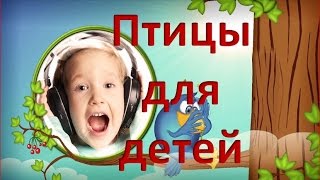 Птицы для детей. Мультфильмы про птиц.