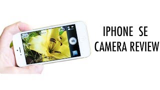 Iphone SE Camera Review