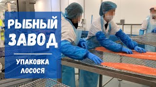 Работа в Польше: рыбный завод. Упаковка лосося. #работавПольше #твояработа #рыбныйзавод #заводы
