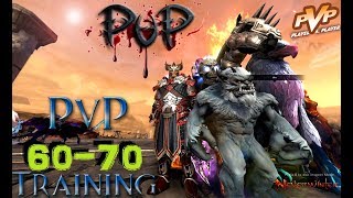 Neverwinter Beginners PVP Guide Insignia Bonus Mounts and Gear