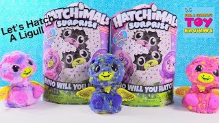 Ligull Hatchimals Surprise Target Exclusive Twin Unboxing Toy Review | PSToyReviews
