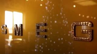 Втраиваемая техника smeg обзор