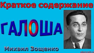 Краткое содержание "Галоша", Михаил Зощенко