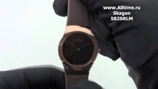 Женские наручные часы Skagen 582SRLM