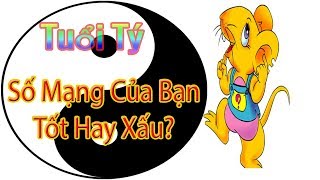 Tuổi Tý Số Mạng Của Bạn Tốt Hay Xấu  Thầy Tử Vi Phong Thủy Đoàn Vũ Thanh Hoàng