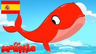 Morphle en Español | Béisbol con el Rey Neptuno | Caricaturas para Niños | Caricaturas en Español