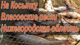 Ловля на косынку. Октябрь месяц.