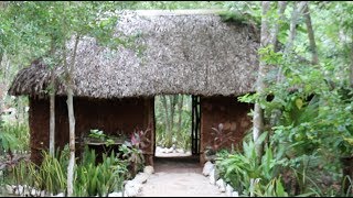 Exploring Mayan Culture in the Riviera Maya — Mexico Travel Vlog #35