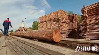 Дома из клееного и профилированного бруса от "Вятка-Лес"