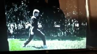 Seven Star Praying Mantis - Chop Chuey (Spear Hand)
