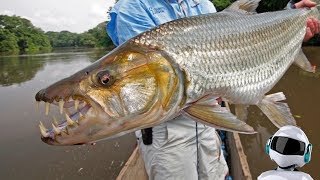 Fishing Planet  Дельта Сан Хоакин Калифорния ( Лаврак и чавыча )