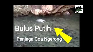 Wisata Tuban Bumi wali Air terjun Nglirip Pantai Remen Goa Ngerong Goa Akbar #wartawisata