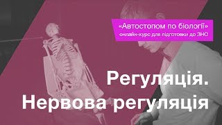 Регуляція. Нервова регуляція – Підготовка до ЗНО – Біологія