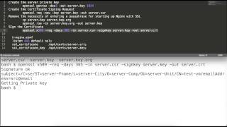 nginx ssl configuration,openssl to generate the csr,certificate