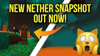 Minecraft 1.16 NEW NETHER UPDATE SNAPSHOT & Changelog! - New Ore's, New Blocks, & More - (1.16 News)