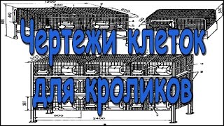 Чертежи клеток для кроликов