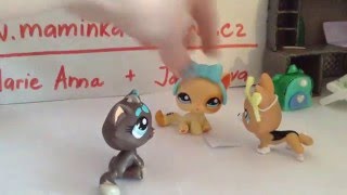 lps pet shop doga soutez bezi :-) prosime hlasujte at ji muzeme nekomu poslat!!!!!!