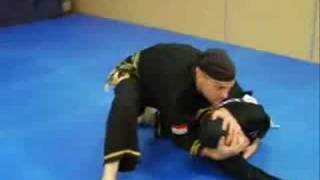 Harimau Minangkabau Baringin Sakti Pencak Silat
