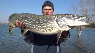Трофейная щука 2017.Рыбалка Крым-2017.