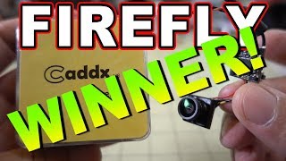 Caddx Firefly Winner Announcement ?