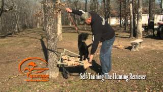 Vid 3 Teaching The "Place" Command - Self Training The Hunting Retriever