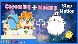 Learn Colors with Egg Angel Cocoming, Molang & Learn Stop Motion Animation(에그엔젤 코코밍과 몰랑 스톱모션)