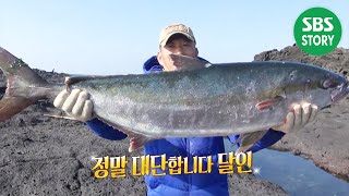 부시리 낚시 달인, 엄청난 힘! 부시리와의 치열한 혈투! I 생활의 달인 (Little Big Masters)  | SBS Story