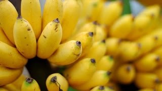 BÉ KHỎE - BÉ THÔNG MINH - Tập 2: 4 món ăn dặm ngon từ chuối cho bé thêm thông minh.