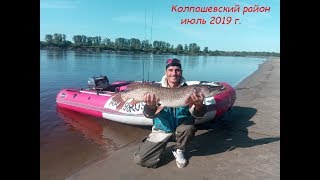 Рыбалка в Томской области. Колпашево  2019