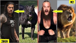 20 WWE WRESTLERS Who Look Alike ANIMALS - Roman Reigns, The Rock, Braun Strowman.. [HD]