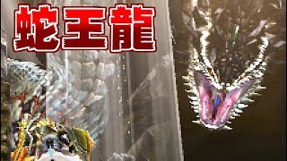 【MH4G実況】強化個体ダラを開幕速攻ダウンさせながら狩る